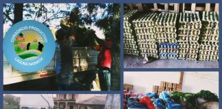 El Consorcio Productivo Laguna Naineck continúa con las cargas recurrentes para Plan Nutrir.