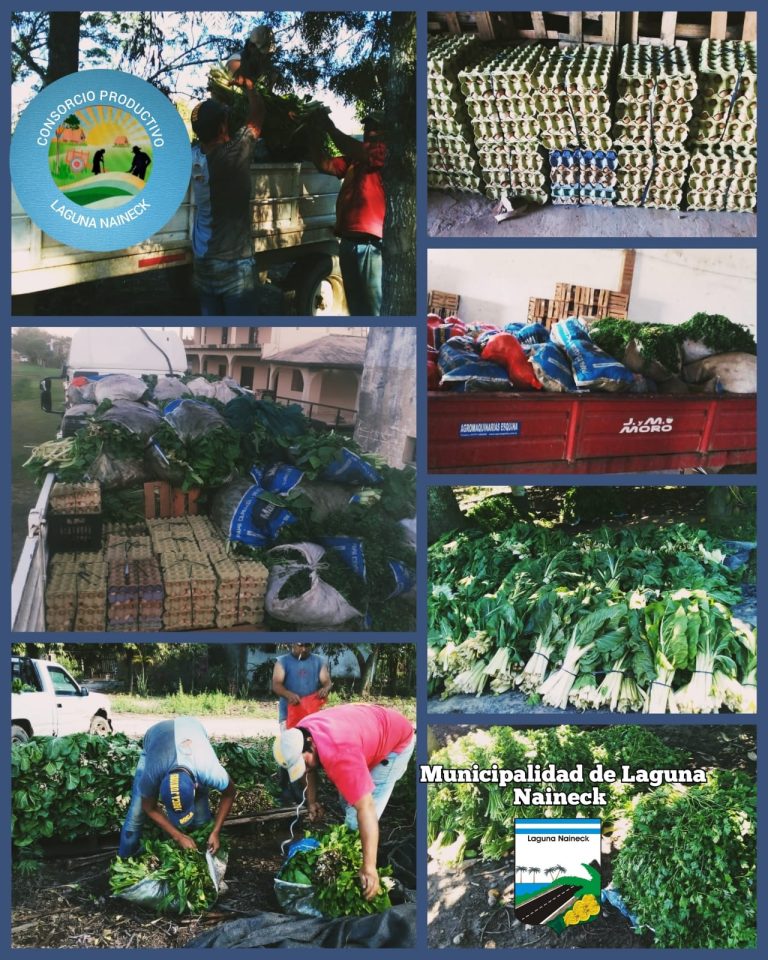 El Consorcio Productivo Laguna Naineck continúa con las cargas recurrentes para Plan Nutrir.