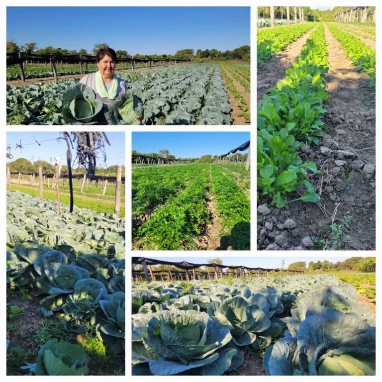 El Modelo Productivo Formoseño florece en nuestra amada Laguna Naineck