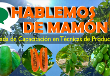 Capacitación en Técnicas de Producción de Mamón en Laguna Naineck