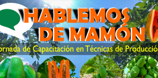 Capacitación en Técnicas de Producción de Mamón en Laguna Naineck