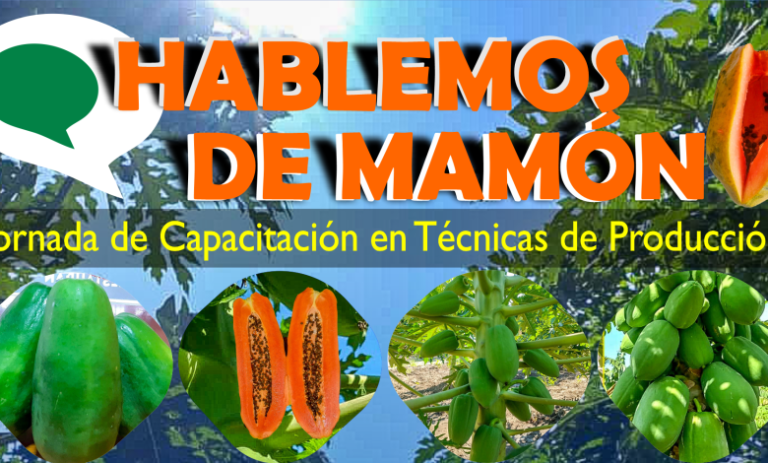 Capacitación en Técnicas de Producción de Mamón en Laguna Naineck